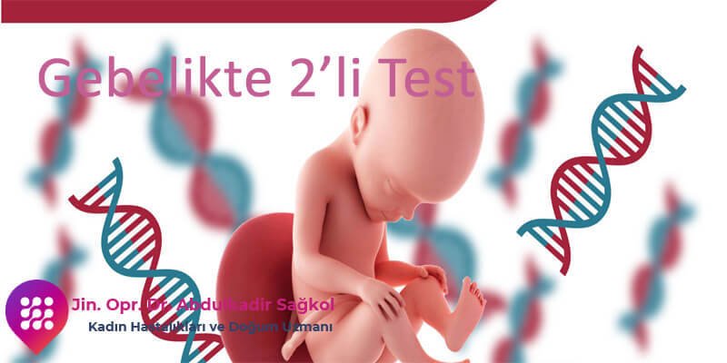 2li-test-yapimi
