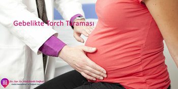 Gebelikte Torch Taraması