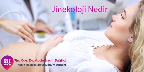 Jinekoloji Nelerdir?
